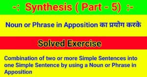 Synthesis of Sentences - Noun or Phrase in Apposition